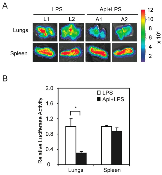 Figure 4