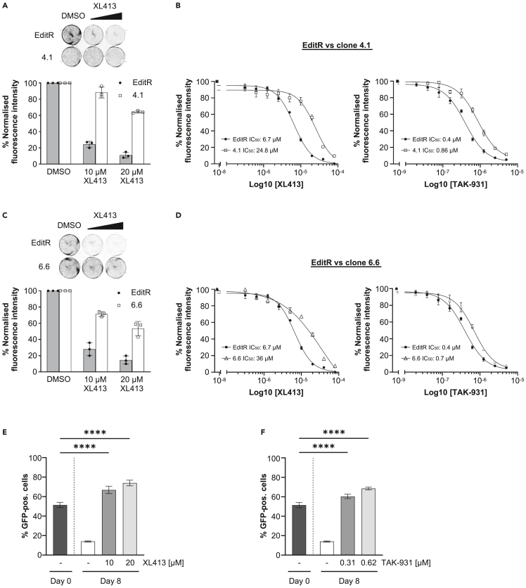 Figure 2