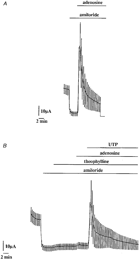 Figure 8