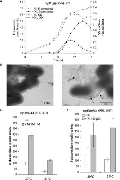 FIG. 7.