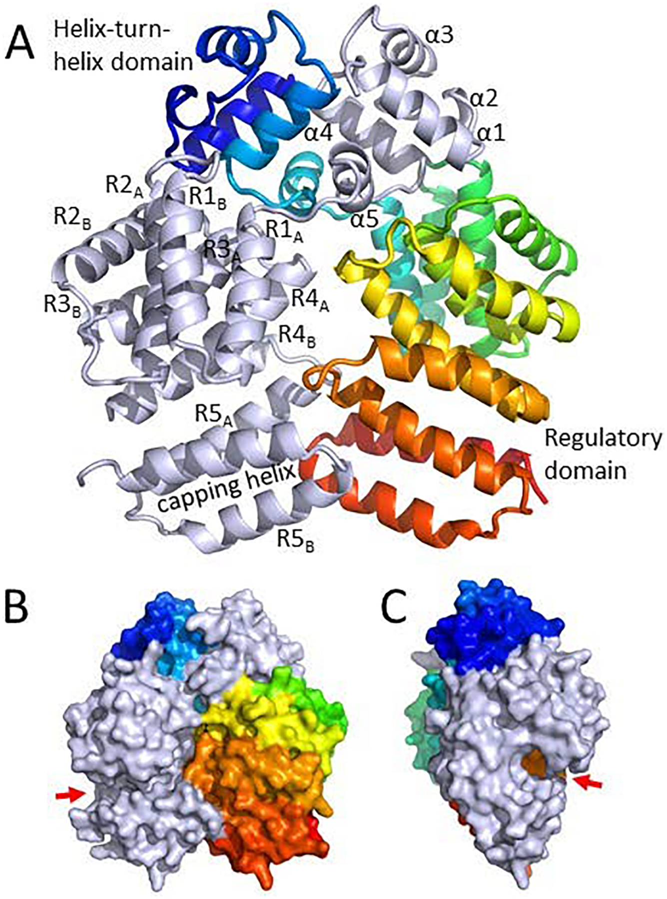 Figure 1: