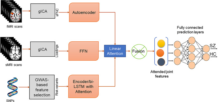 FIGURE 1