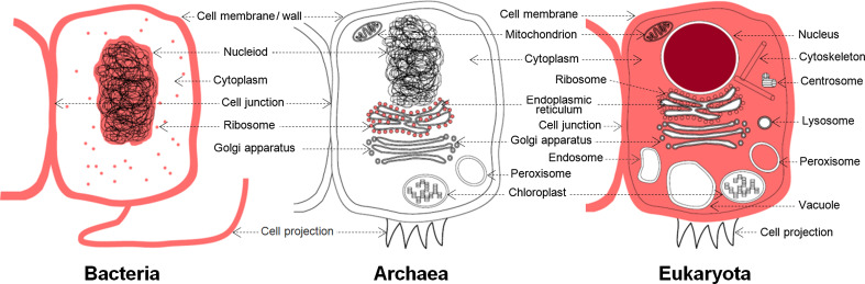 Fig. 4