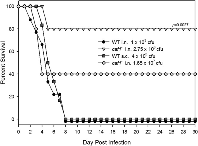 Fig 7