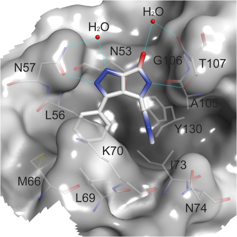 Fig 3