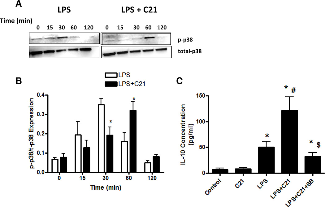 Figure 6