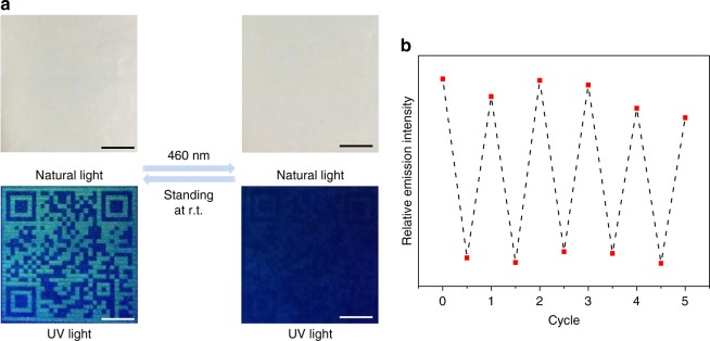 Fig. 8