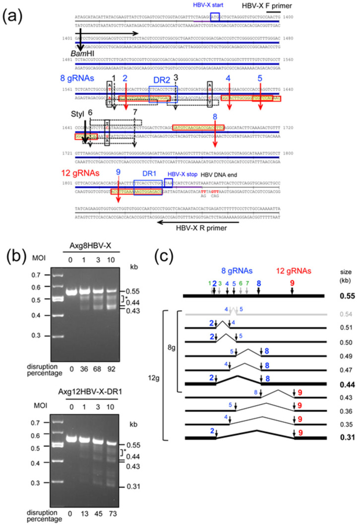 Figure 2