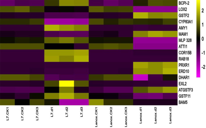 Figure 5