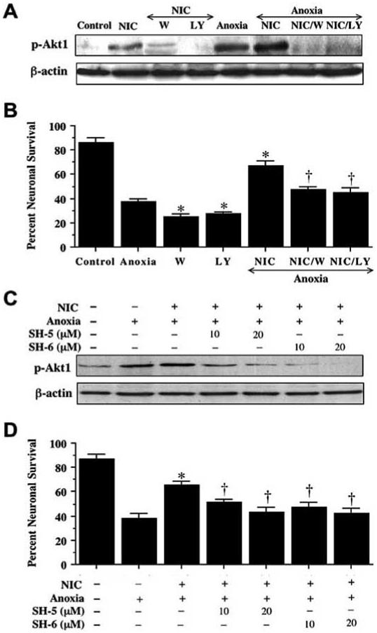 Fig. (3)