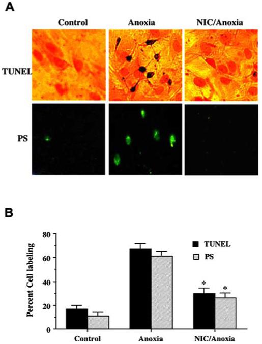 Fig. (2)