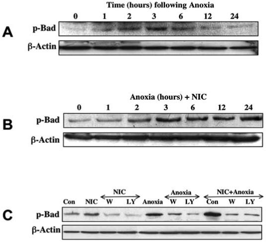 Fig. (4)