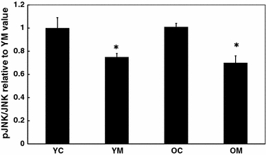 Fig. 4