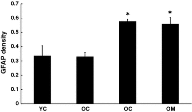 Fig. 6