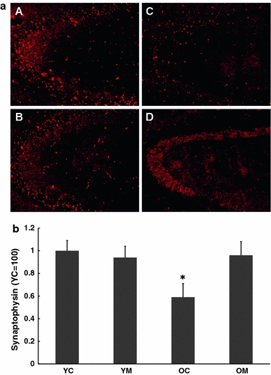 Fig. 7