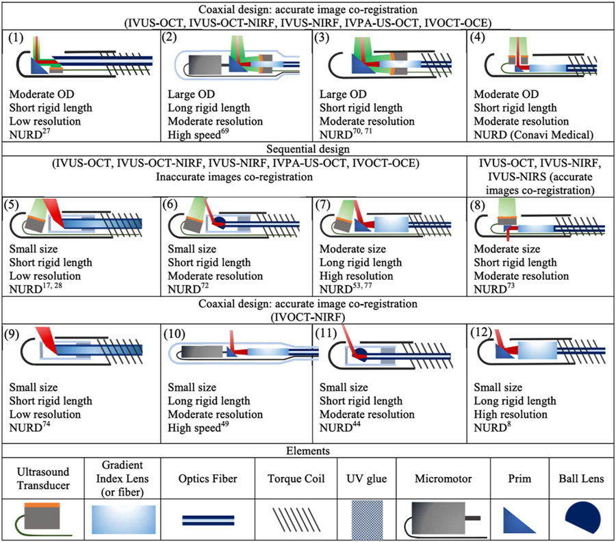 graphic file with name nihms-1064598-t0001.jpg