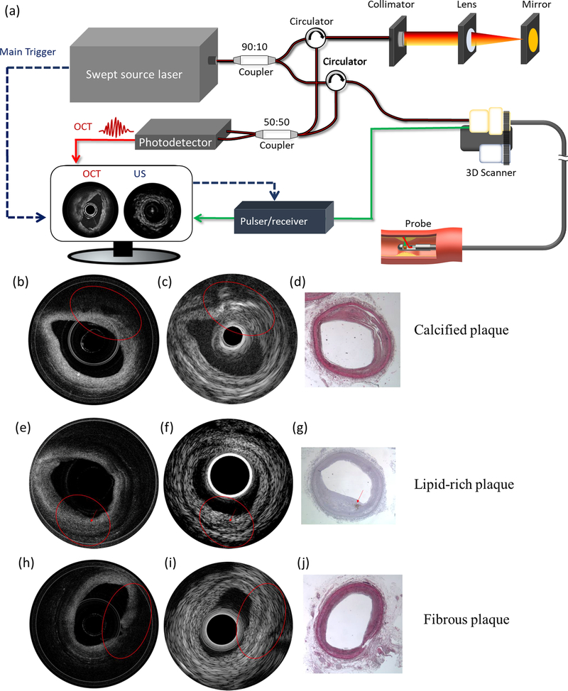 Fig. 1.