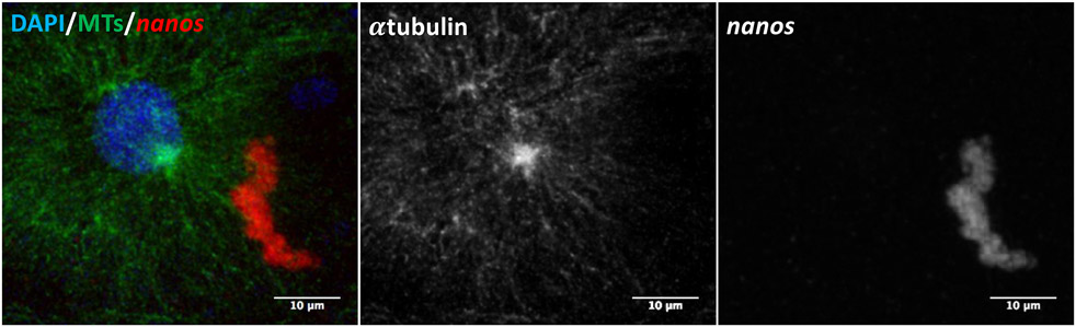 Figure 3.