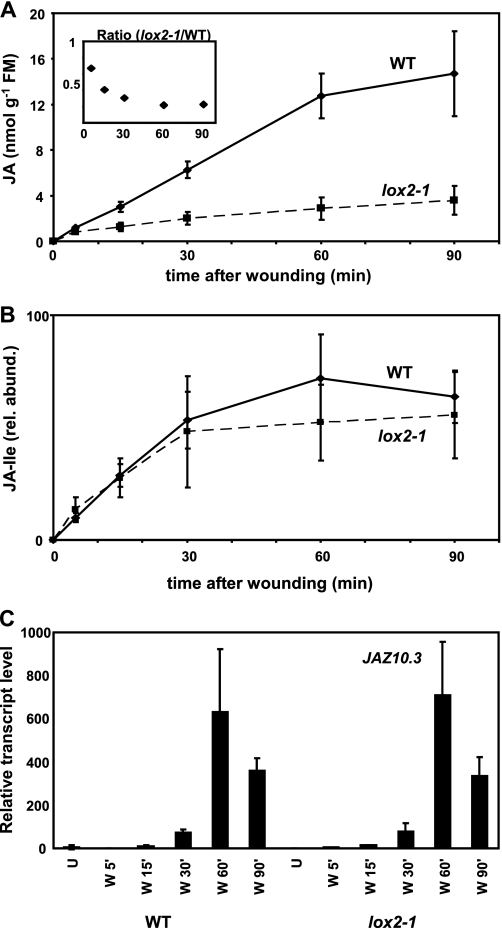 FIGURE 4.