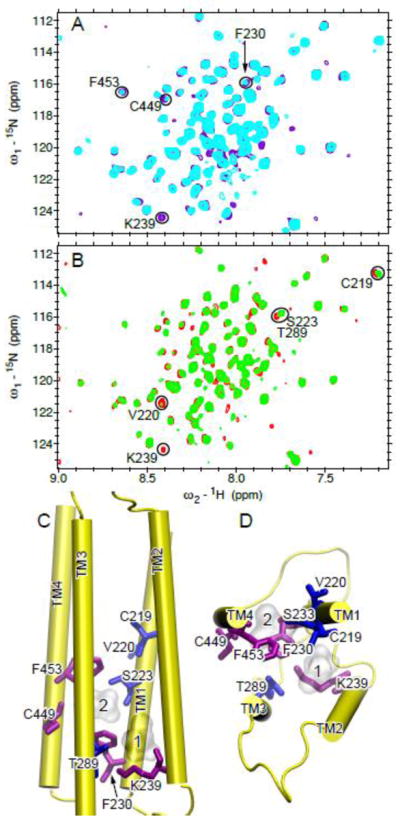 Fig. 4