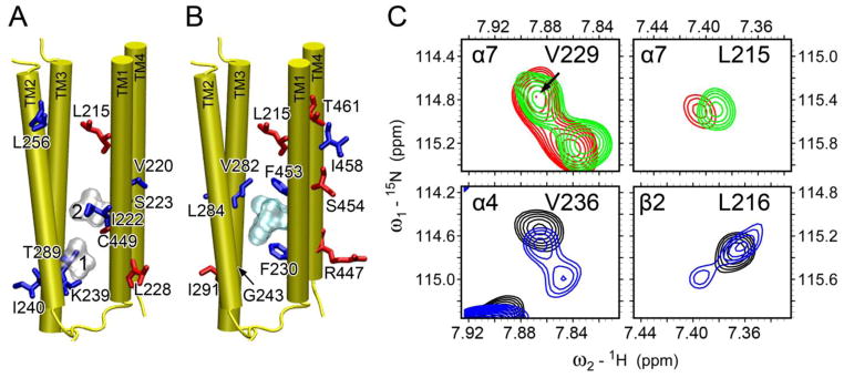 Fig. 6