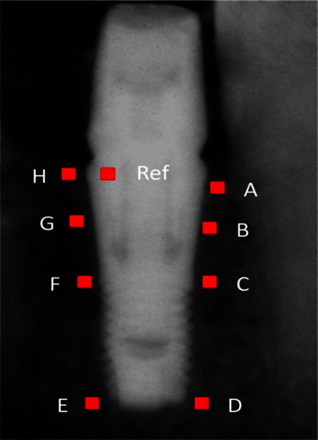 Fig 3