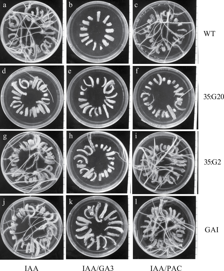 Fig. 8.