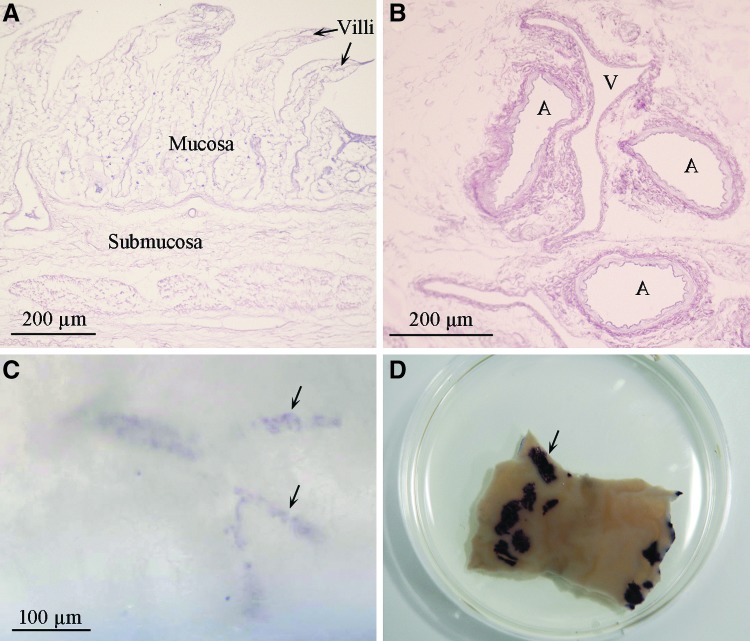 FIG. 3.