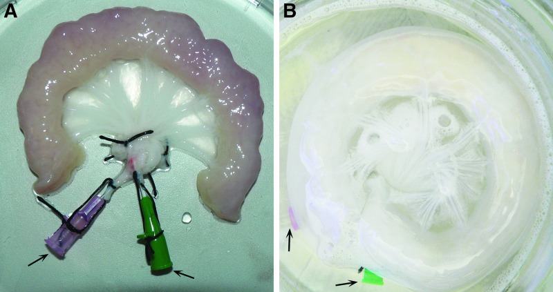 FIG. 2.