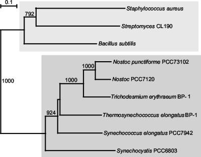 FIG. 8.