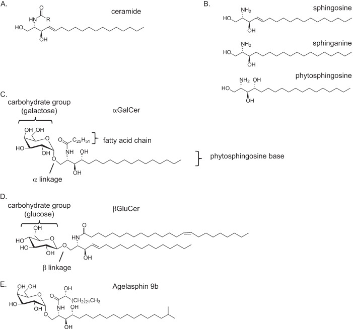 FIGURE 1.