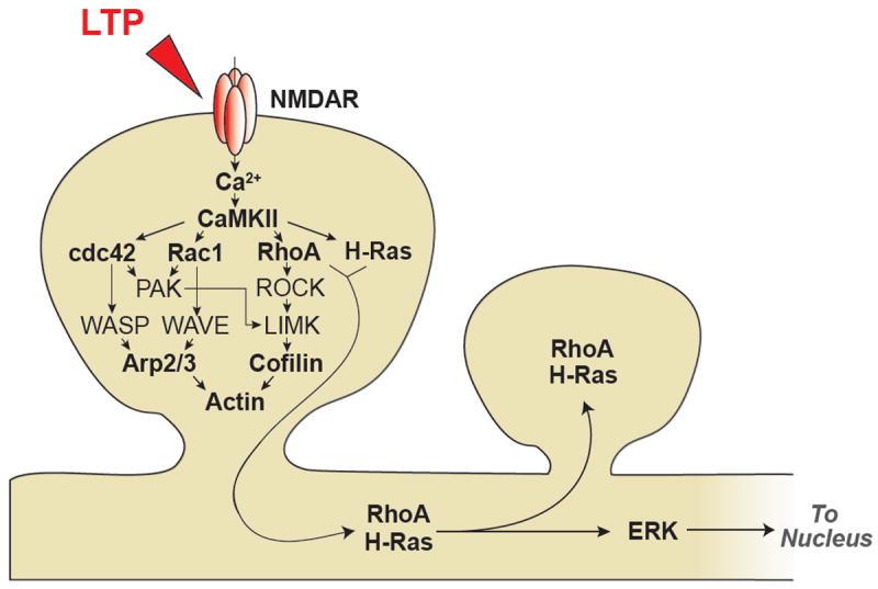 Fig.3