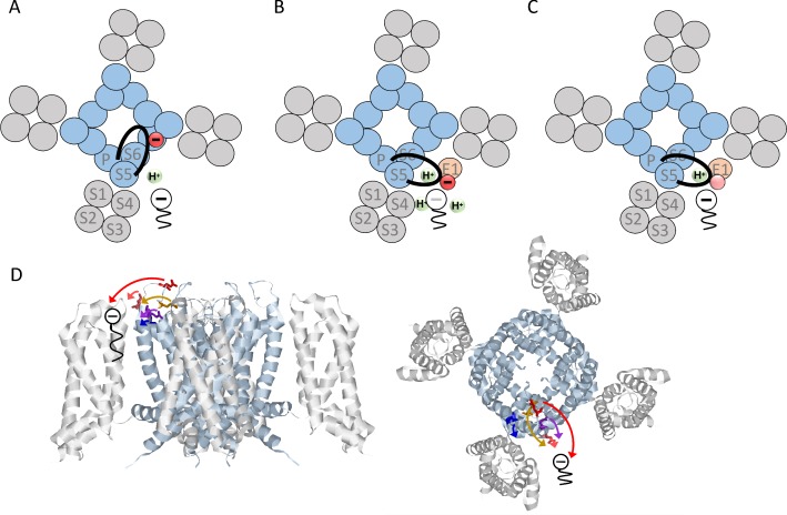 Figure 5.