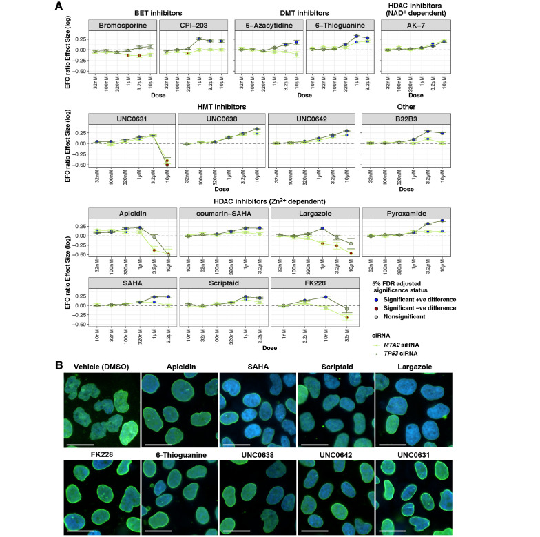 FIGURE 5: