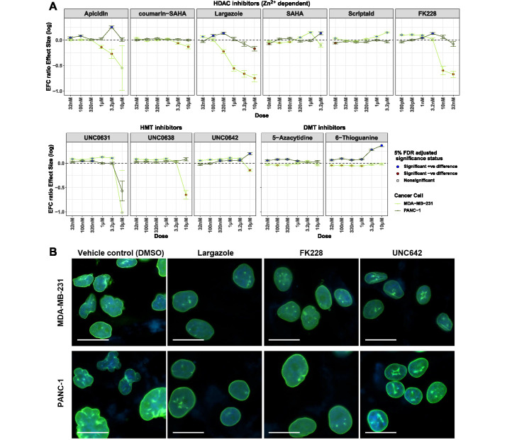 FIGURE 6: