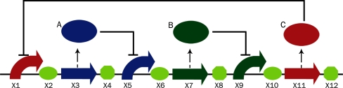 Fig. 1