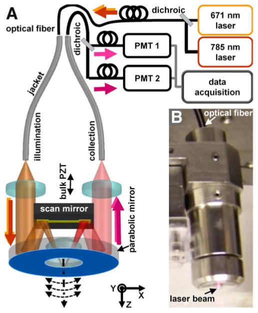 Fig 1