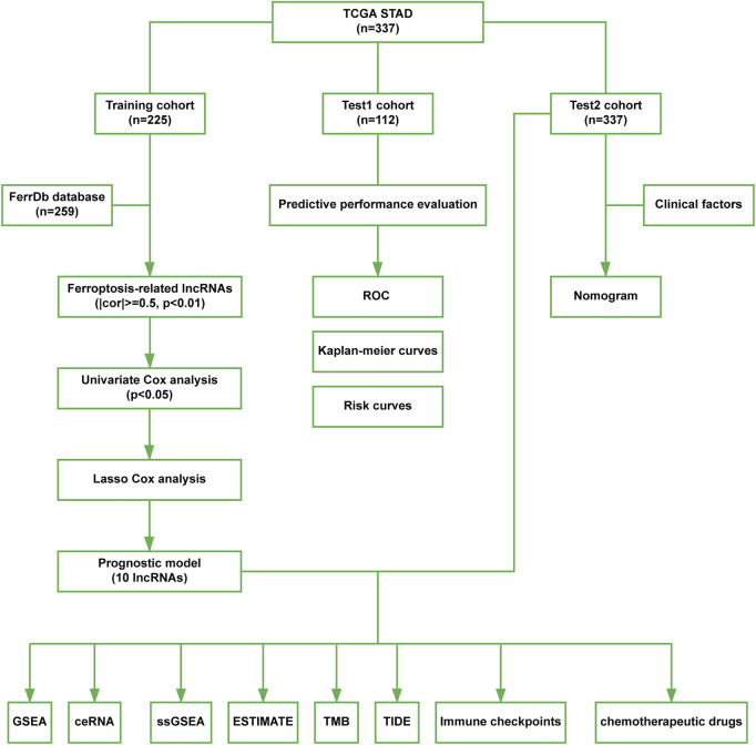 FIGURE 1