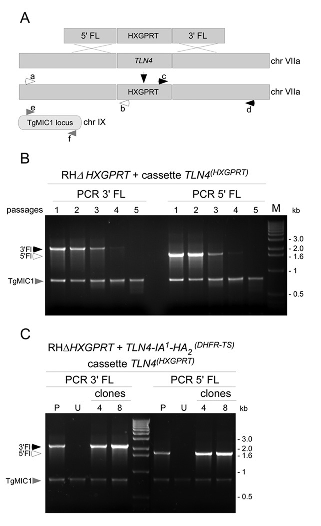 Figure 5