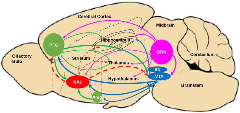 Figure 2: