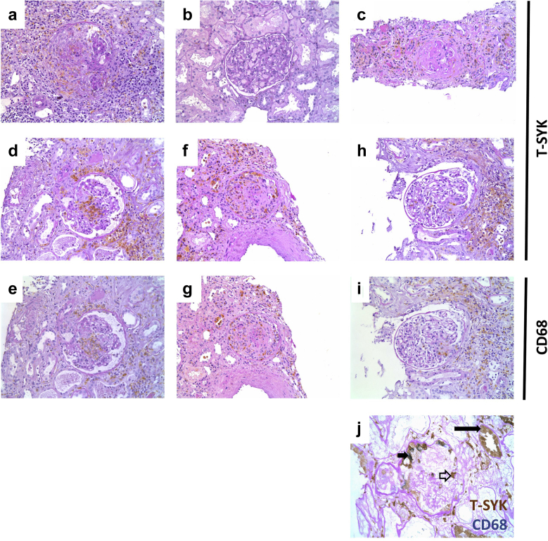 Figure 6