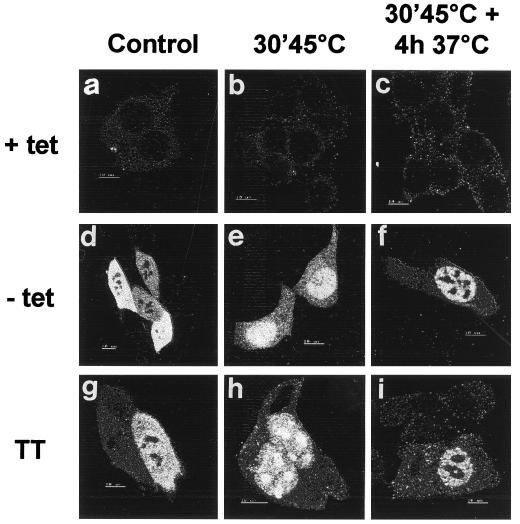 FIG. 8