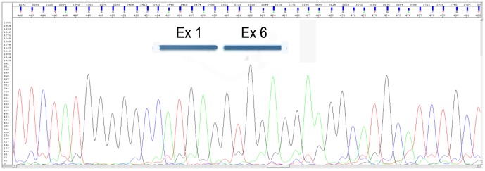 Figure 6