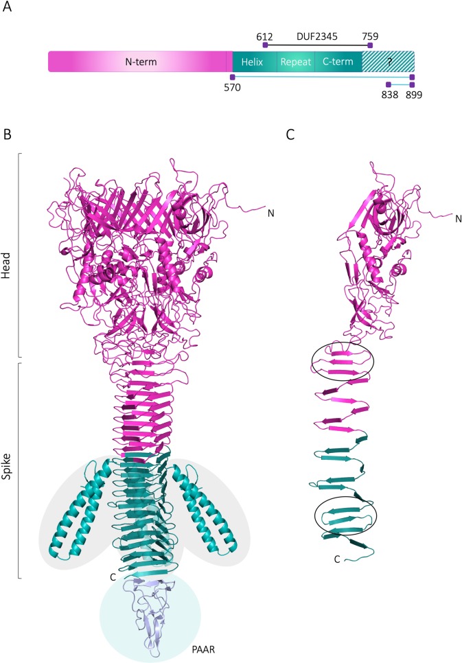 Fig 13