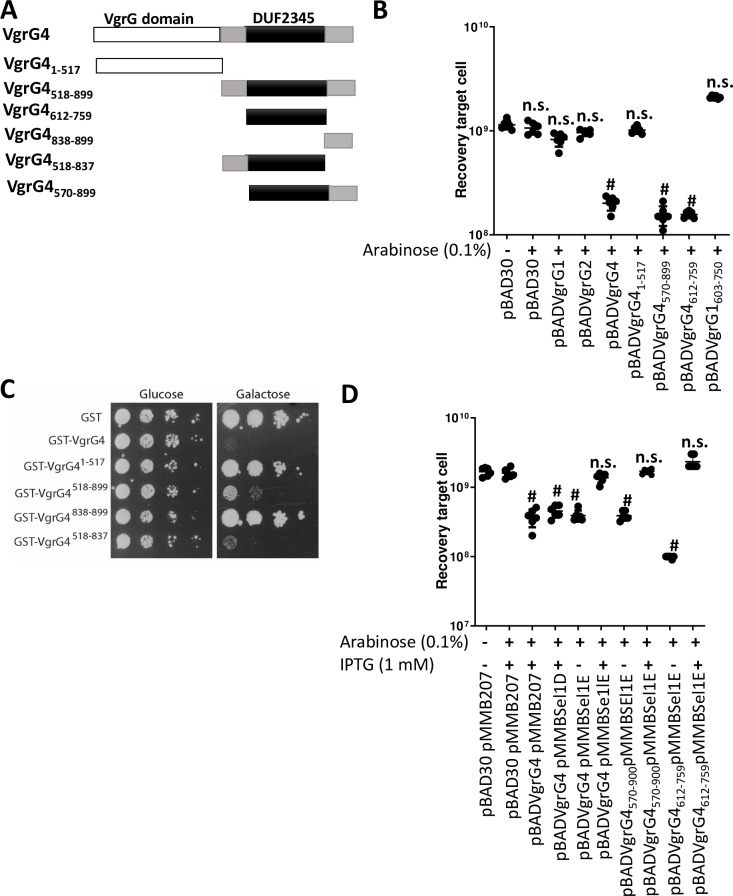 Fig 12