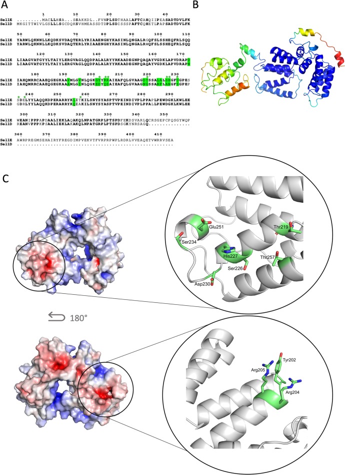 Fig 14