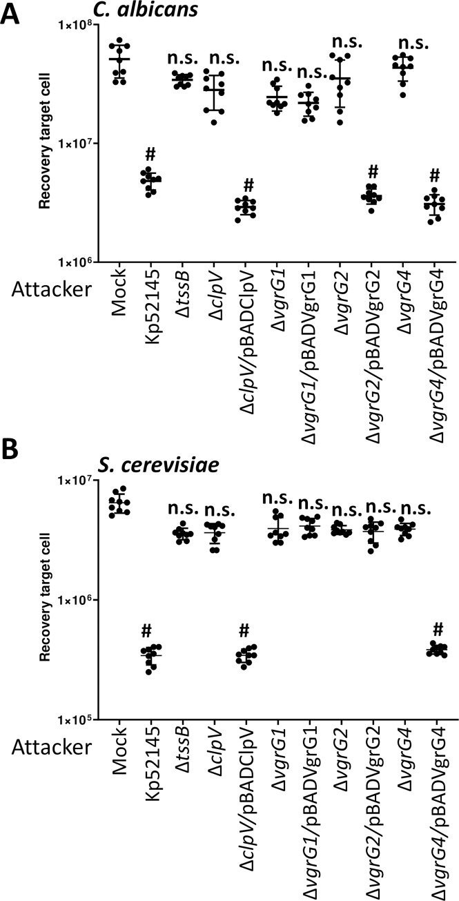 Fig 10