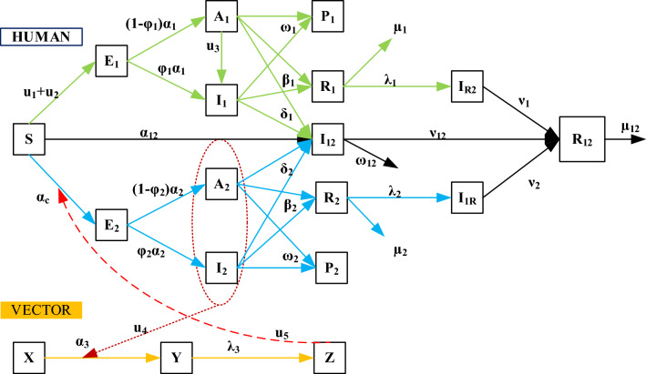 Fig. 1