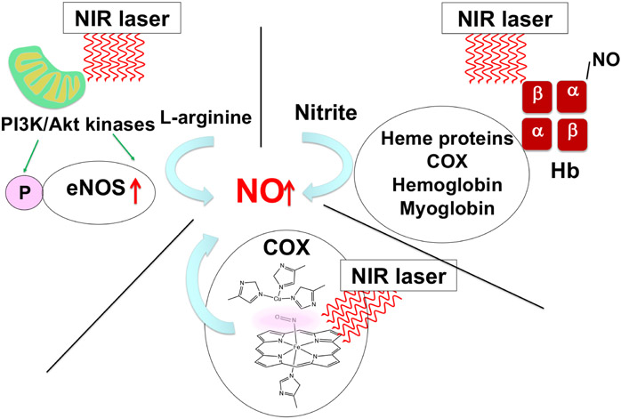 Figure 5.