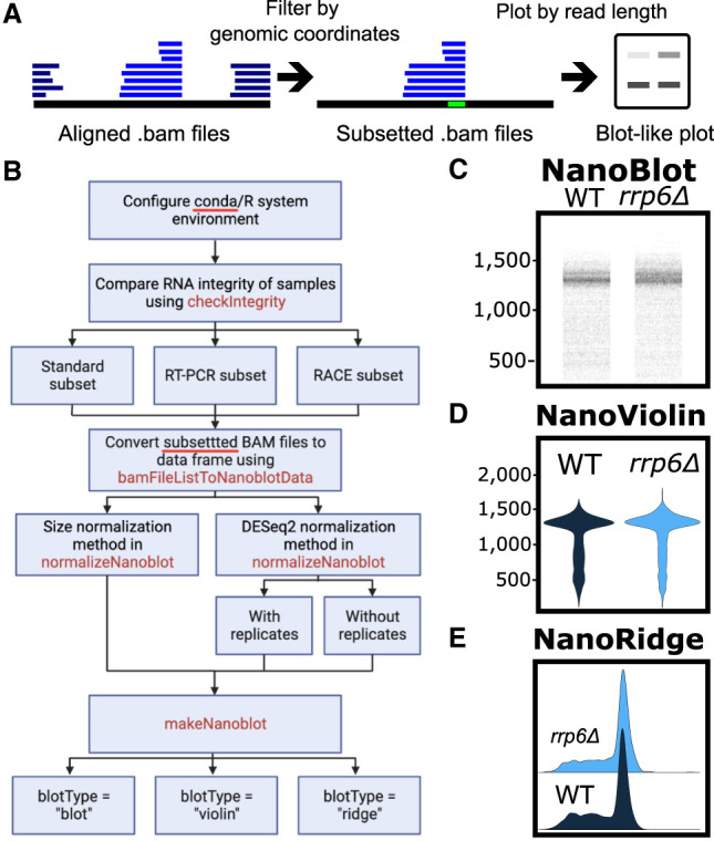 FIGURE 1.